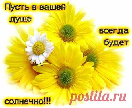 ХОЧУ КУСОЧЕК ЛЕТА... – В мастерской профессора Владимира, пользователь Владимир Зубрицкий | Группы Мой Мир