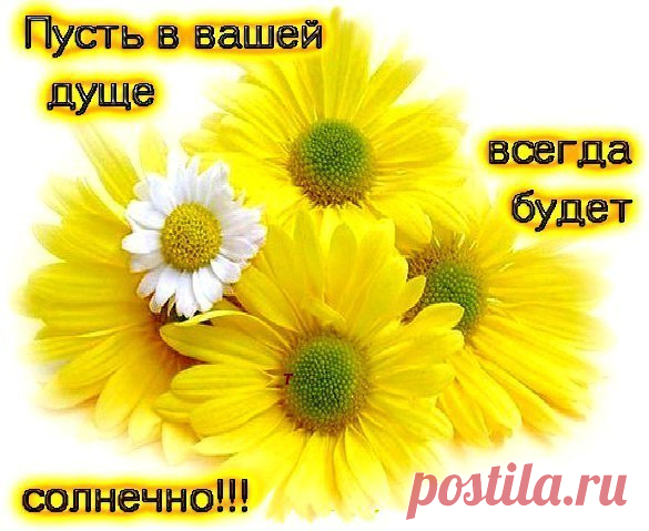 ХОЧУ КУСОЧЕК ЛЕТА... – В мастерской профессора Владимира, пользователь Владимир Зубрицкий | Группы Мой Мир