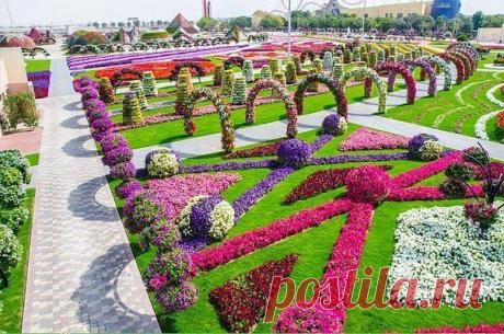 Парк цветов в Дубае.
