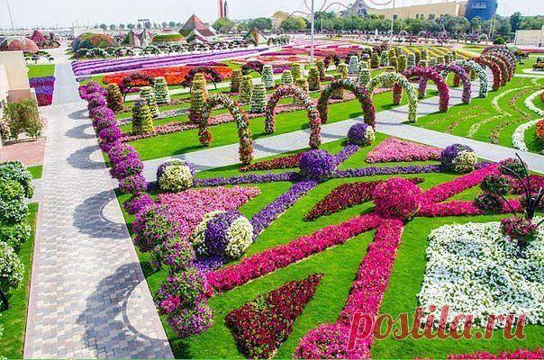 Парк цветов в Дубае.