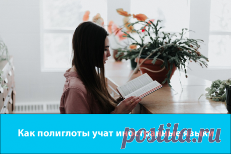 Как полиглоты учат иностранные языки | StudyQA | Яндекс Дзен