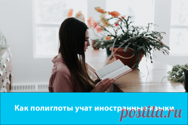 Как полиглоты учат иностранные языки | StudyQA | Яндекс Дзен