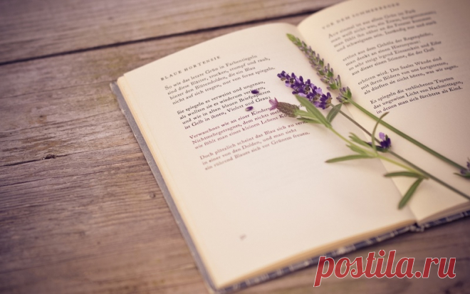 книга, стол, стихи, лаванда обои на рабочий стол и картинки 59481