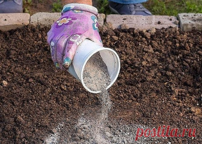 ВСЕ ПРО ЗОЛУ 
 


КАК ПРАВИЛЬНО ПОДКАРМЛИВАТЬ РАСТЕНИЯ ЗОЛОЙ
 
 
В древесной золе в доступной форме содержится около 30 минералов, которые необходимы для правильного развития растений. При этом в таком ценном удоб…