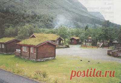 Травяная кровля - сайт 