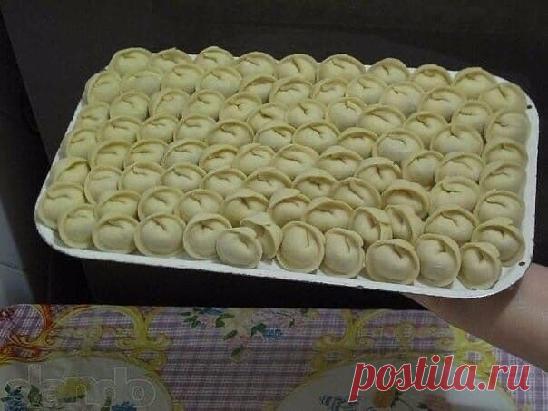 Тесто на пельмени и вареники.