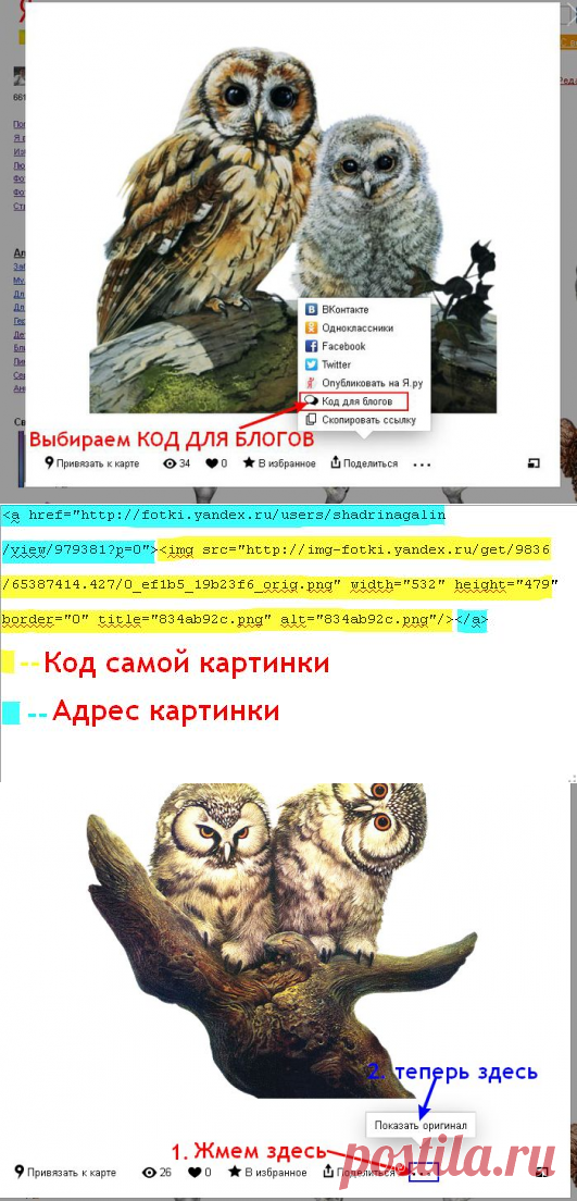 Как просматривать и брать картинки с Яндекс фото в связи с новыми изменениями
