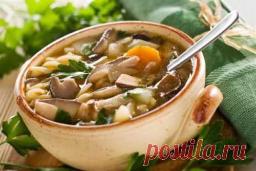 Грибной суп – полезно и очень вкусно / Простые рецепты
