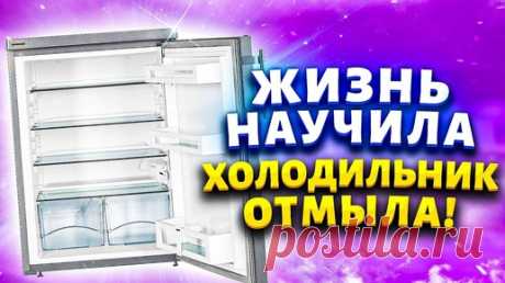 Мало кто знает эти хитрости для быстрой уборки холодильника - от жира, грязи, запаха, плесени. | Марина Жукова, Домохозяйка, Эксперт, Блогер | Дзен