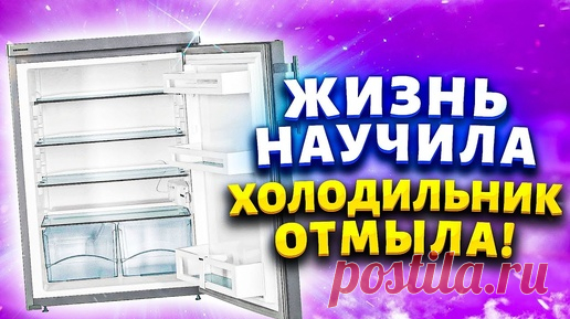 Мало кто знает эти хитрости для быстрой уборки холодильника - от жира, грязи, запаха, плесени. | Марина Жукова, Домохозяйка, Эксперт, Блогер | Дзен