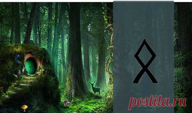 Отила (поможет в борьбе за наследство и руководителям)
Всем по привету! Вот мы и добрались до последней буквы рунного алфавита! Но, это не значит, что мы расстанемся с рунной темой. Как то не заметно для себя, находясь в поисках материалов для статей по теме рун, увлеклась рунами. Не могу сказать, что я перестала относиться к ним как к алфавиту, но столько о них […]
Читай пост далее на сайте. Жми ⏫ссылку выше