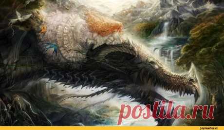 JoyReactor - смешные картинки и другие приколы: комиксы, гиф анимация, видео, лучший интеллектуальный юмор.