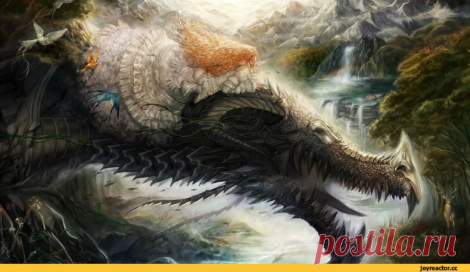 JoyReactor - смешные картинки и другие приколы: комиксы, гиф анимация, видео, лучший интеллектуальный юмор.