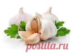 10 полезных свойств чеснока для здоровья