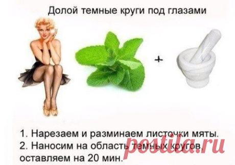 Волосы на заколках в Москве и СПб/ Заголовок: Красота, модные прически с фото, макияж, правильный уход за кожей
Описание: Прически с фото и уход за волосами, лунный календарь стрижек и правильный уход за кожей. А также, эффективные процедуры, домашние маски, маникюр и педикюр, новости красоты.
Ключевые слова: Прически с фото уход за волосами лунный календарь стрижек макияж уход за кожей косметология эпиляция процедуры домашние маски маникюр педикюр новости красоты