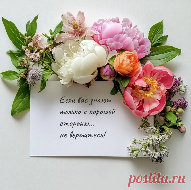 Выпуск №6264 - выпуск анекдотов сайта вокруг смеха