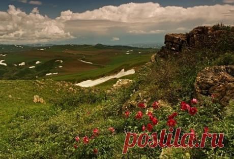 (48) Одноклассники