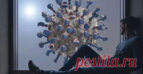 Названы 7 признаков, что у человека уже был COVID-19 Некоторые люди, сами того не зная, переболели коронавирусной инфекцией. Заболевание может как сопровождаться характерными признаками, так и протекать в бессимптомной форме. Медики перечислили 7 пунктов, которые «говорят» о том, что в организме пациента присутствовал COVID-19.