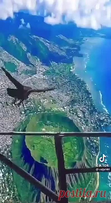 video_2842070553995.mp4