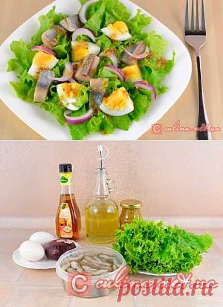 Салат с селедкой и яйцами | Блюда из рыбы