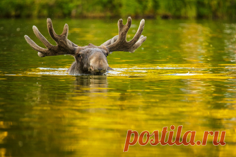 100 BEST ART PHOTOS #35AWARDS 2015