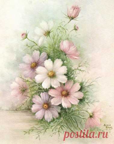 Цветочная нежность в картинах Sonie Ames...