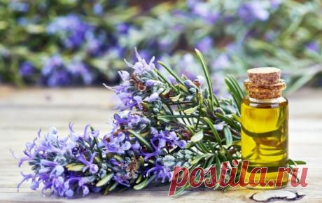 Как избежать укачивания в транспорте: 5 натуральных и простых средств?