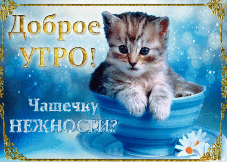 Прикольные картинки с добрым утром | Открытки бесплатно