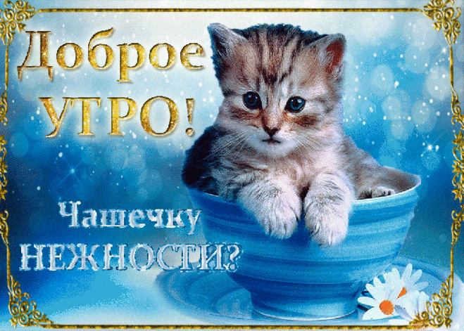 Прикольные картинки с добрым утром | Открытки бесплатно