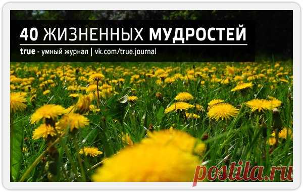 40 жизненных мудростей