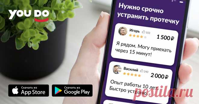 Олег Набелкин на YouDo с 8 декабря 2018 года, г. Москва. Отзывы (414), средняя оценка (4.97), виды выполняемых работ - Ремонт цифровой техники, Компьютерная помощь Олег Набелкин, г. Москва, исполнитель на YouDo с 8 декабря 2018. Виды выполняемых работ: Ремонт цифровой техники, Компьютерная помощь.