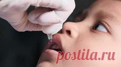 Врач Неронов: симптомы полиомиелита могут напоминать ОРВИ. Врач-инфекционист АО «Медицина» (клиника академика Ройтберга), д. м. н. Владимир Неронов рассказал, что лёгкая форма полиомиелита может напоминать ОРВИ. Читать далее