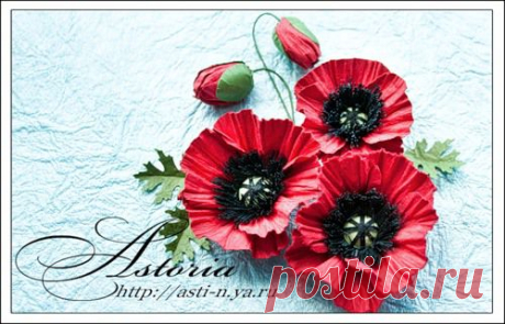 МК маки -  ASTORIA — я.ру