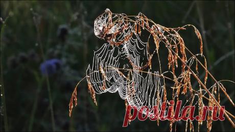 Фотоэтюды на восходе Солнца