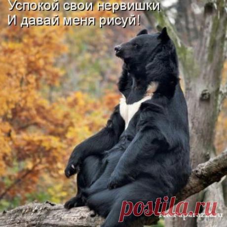 Персональный блог Ларисы Лапинь