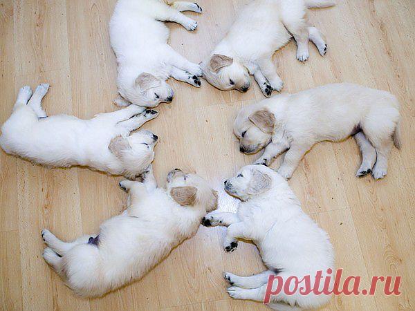 Мой Мир@Mail.Ru