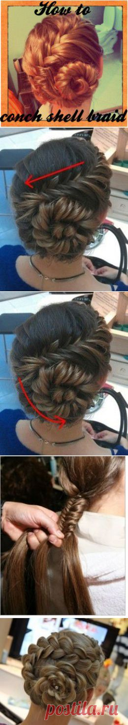 How to Conch Shell Braid