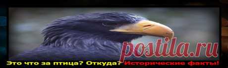 История вещей