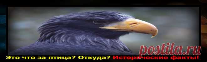 История вещей
