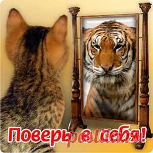 Измени свой мир – поверь в себя 
Образ среднестатистической современной женщины – сложившаяся карьера, семья, социальный статус.