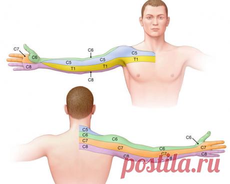 Когда возникает онемение рук? И что с этим делать? | Всегда в форме!
