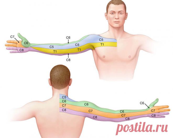 Когда возникает онемение рук? И что с этим делать? | Всегда в форме!