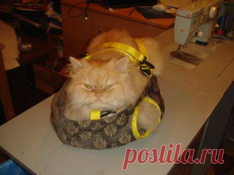 да что ж такое? когде мнеееее????