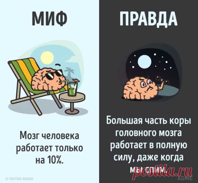 12 мифов о человеческом теле, которые пора забыть