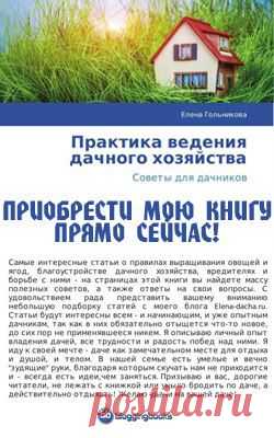 Практика ведения дачного хозяйства - книга Гольниковой Елены