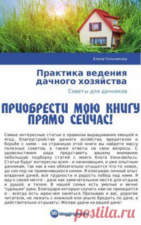Практика ведения дачного хозяйства - книга Гольниковой Елены