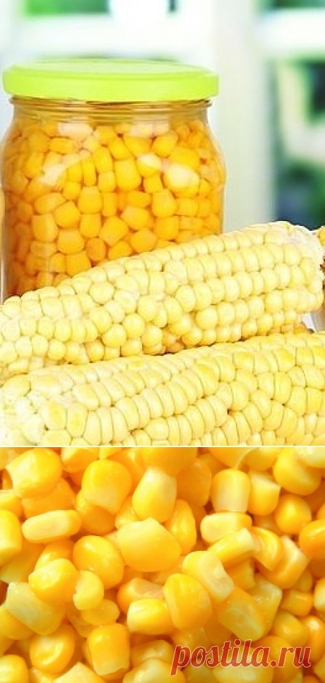 Сахарная кукуруза домашняя