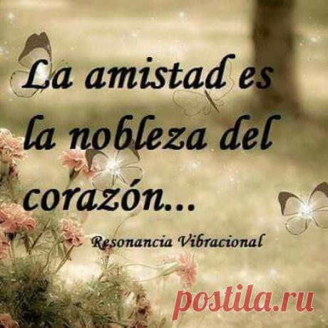 El verdadero ser espiritual es el que más fruto de amor va sembrando. - Búsqueda de Google