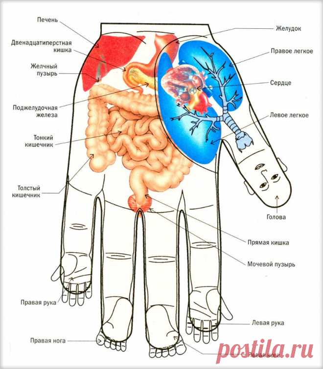 Lfq_dEtiyZg.jpg (895×1024)