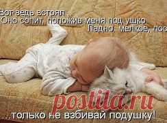 ๑۩۩๑...ЖИЗНЬ ХОРОША, иɯʎdʞ ин ʞɐʞ...๑۩۩๑. Добавлены 6 фотографий в альбом ОНИ ТАКИЕ МИЛЫЕ... (братья наши...